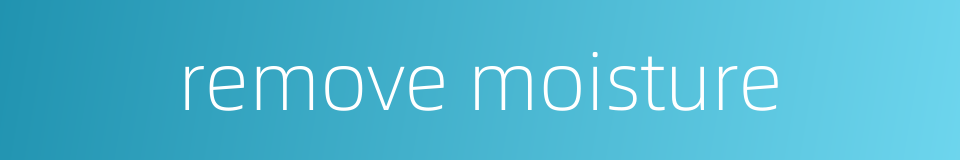 remove moisture的同义词