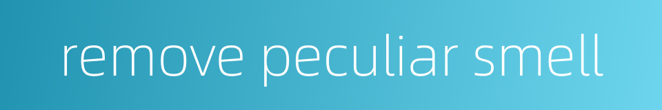 remove peculiar smell的同义词