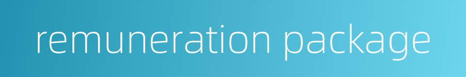 remuneration package的同义词