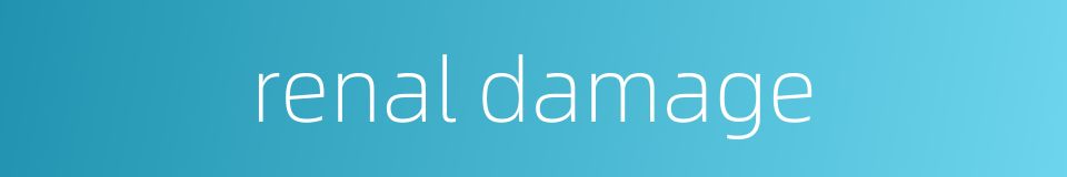 renal damage的同义词