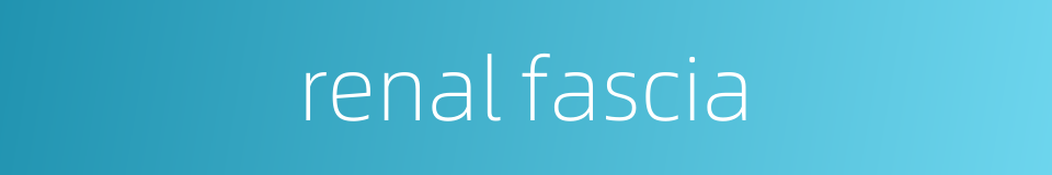 renal fascia的同义词