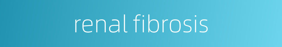 renal fibrosis的同义词