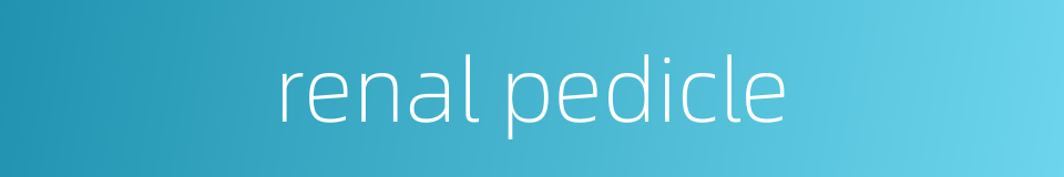 renal pedicle的同义词