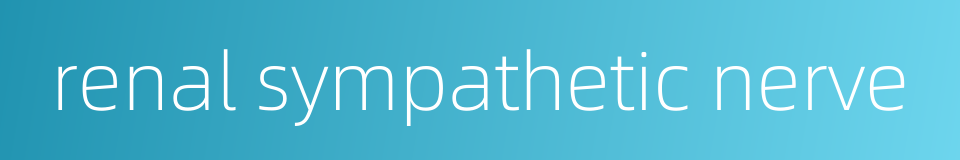 renal sympathetic nerve的同义词