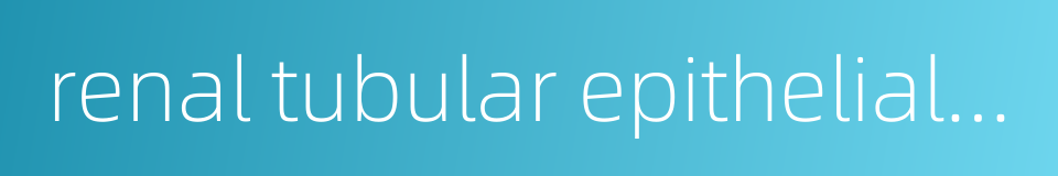 renal tubular epithelial cell的同义词