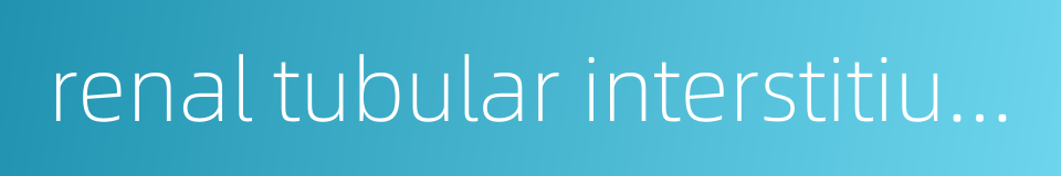 renal tubular interstitium的同义词