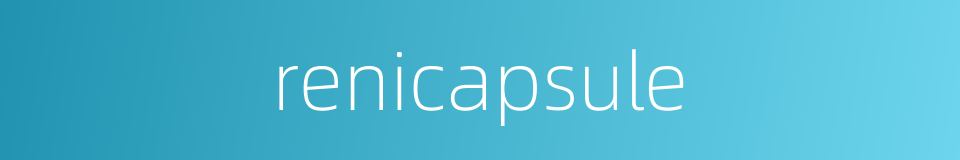 renicapsule的同义词