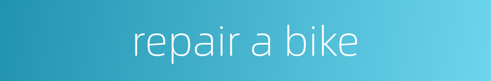 repair a bike的同义词