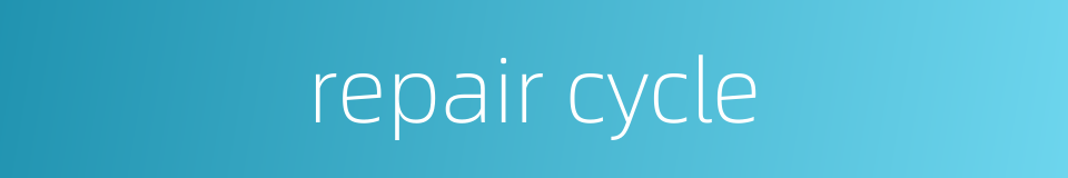 repair cycle的同义词