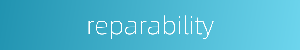 reparability的同义词
