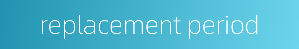 replacement period的同义词
