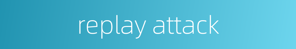 replay attack的同义词