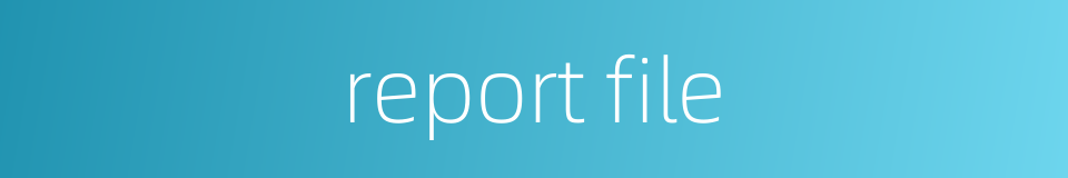 report file的同义词