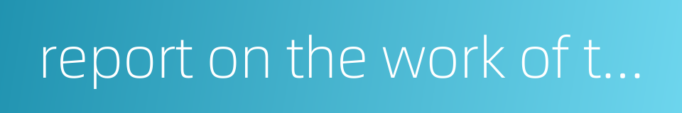 report on the work of the government的同义词