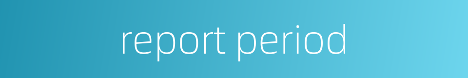 report period的同义词