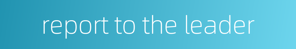 report to the leader的同义词