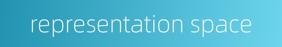 representation space的同义词