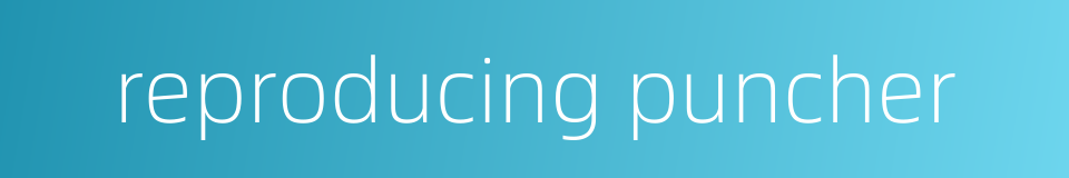 reproducing puncher的同义词