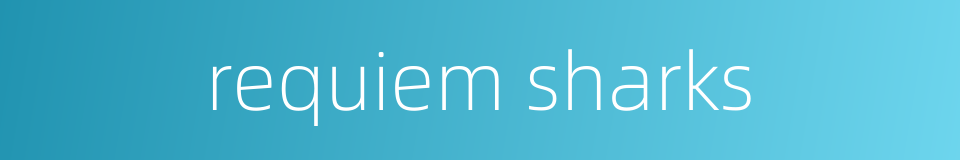 requiem sharks的同义词