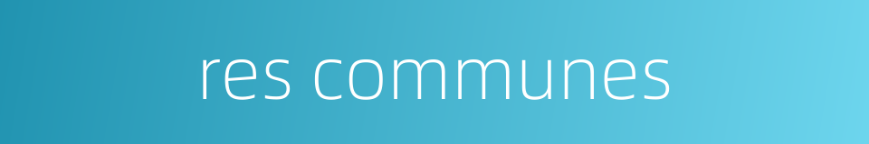 res communes的同义词
