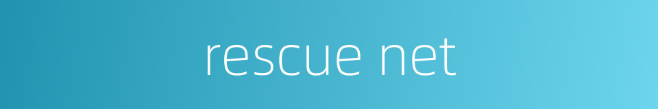 rescue net的同义词