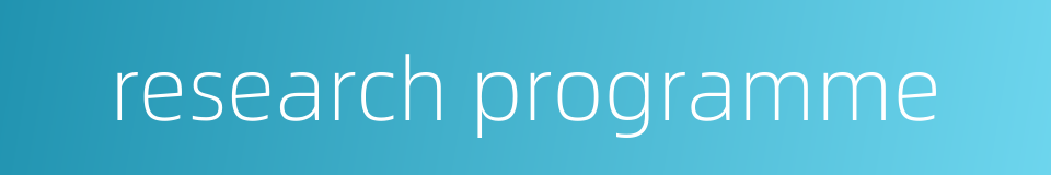 research programme的同义词