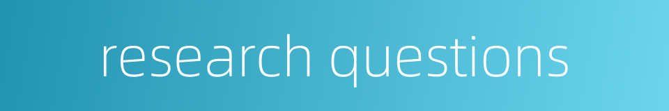 research questions的同义词