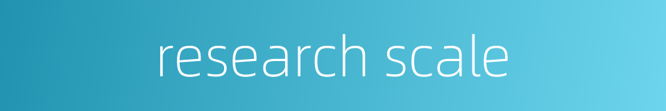 research scale的同义词