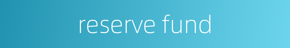reserve fund的同义词