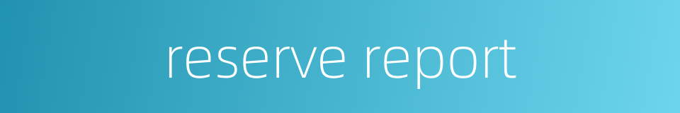 reserve report的同义词