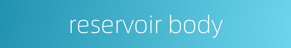 reservoir body的同义词
