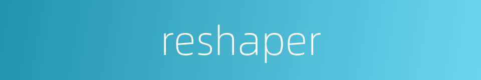 reshaper的同义词