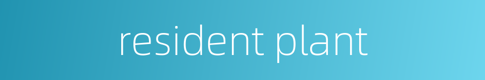 resident plant的同义词