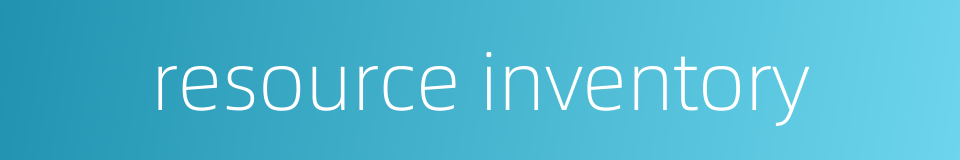 resource inventory的同义词