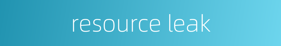 resource leak的同义词