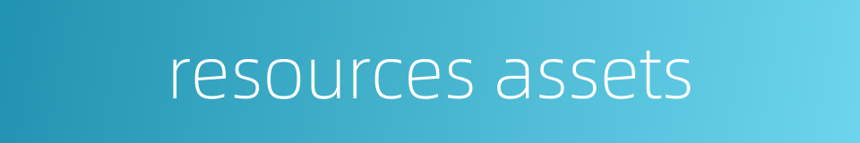 resources assets的同义词