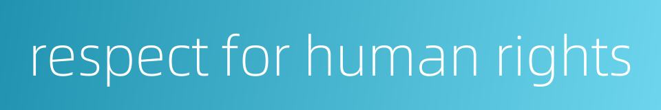 respect for human rights的同义词