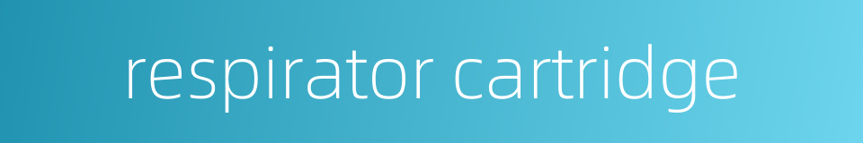 respirator cartridge的同义词