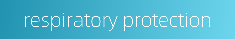 respiratory protection的同义词