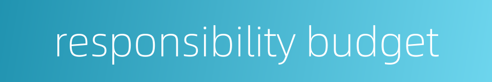 responsibility budget的同义词