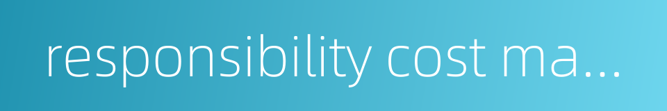 responsibility cost management的同义词