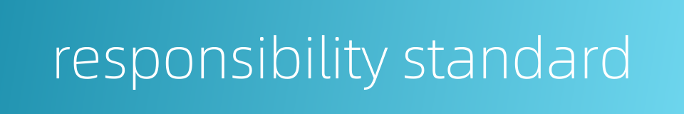 responsibility standard的同义词