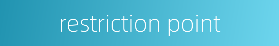 restriction point的同义词