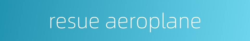 resue aeroplane的同义词