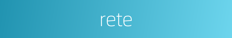 rete的同义词