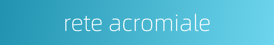 rete acromiale的同义词
