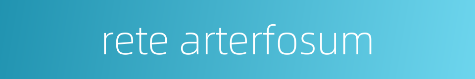 rete arterfosum的同义词