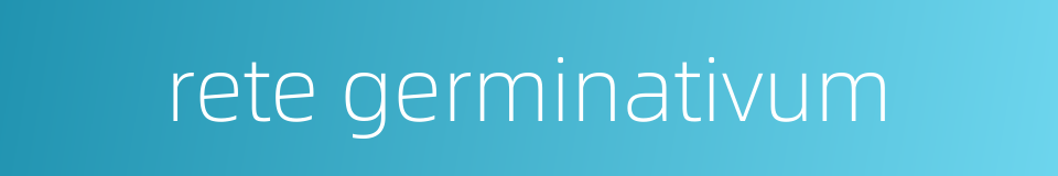 rete germinativum的同义词