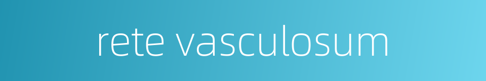rete vasculosum的同义词