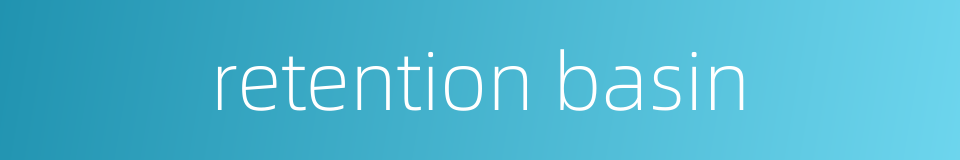 retention basin的同义词